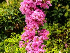 -杭州城北体育公园