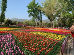 -国家植物园南园