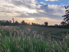 -汉长安城未央宫国家考古遗址公园