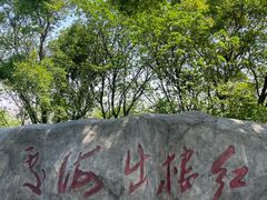 -平湖九龙山旅游度假区
