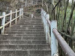-树山生态村