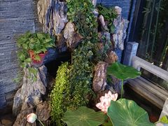 -知足堂养生会所(碑亭巷店)