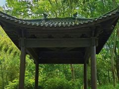 -南京老山国家森林公园