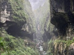-鹿院坪生态旅游景区