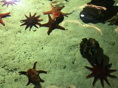 -福州罗源湾海洋世界旅游区