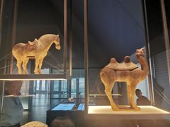 -四川大学博物馆