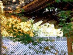 -西湖风景区十里琅珰-五云山