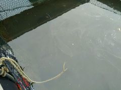 -海上驿站渔家菜馆