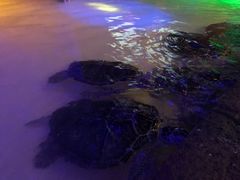 -西安华夏文旅水世界
