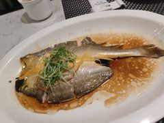 -金汤宴餐厅·粤菜(德云社店)