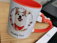 -Husky Go! 哈士奇体验馆·宠物咖啡厅狗咖