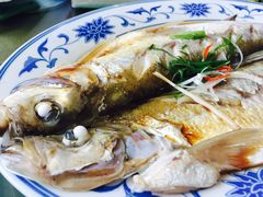 清蒸白丝鱼-状元楼(金溪路店)