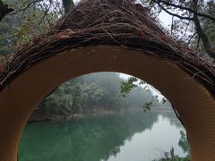 -缙云山景区