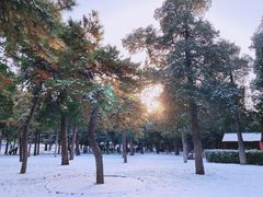 -天坛公园