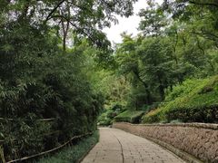 -竹子庵公园