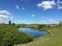 Hobbiton&nbsp;Movie&nbsp;Set&nbsp;Tours-霍比特人村