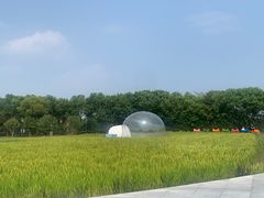 -MUSEO COFFEE咖啡博物馆