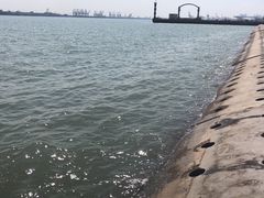 -东疆建设开发纪念公园