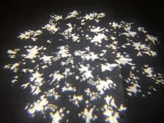 -邛海风味特色菜馆