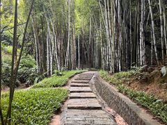 -黄埔油麻山森林公园