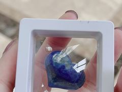 -湖南省地质博物馆