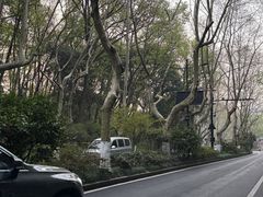 -中国茶叶博物馆(双峰馆区)