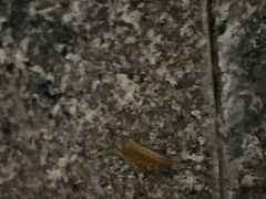 -东方棕泉·洗浴·按摩·美食国际水疗会所(福田店)