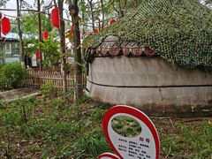 -草根堂农场