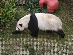 -青藏高原野生动物园