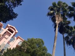 -圣爵菲斯大酒店(长沙世界之窗店)