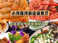 -三亚蜈支洲岛旅游区