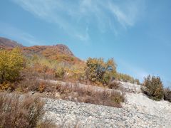 -白草畔自然风景区