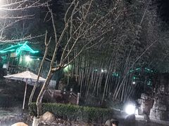 -洪湖悦兮半岛国际温泉度假村