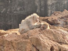 -昆明动物园