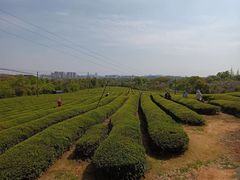 -敬亭山风景名胜区