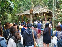 -Bamboo Saturday Market(Nana Jungle)