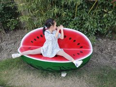 -菊园百果园