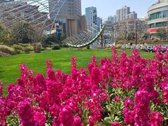 -北外滩滨江绿地