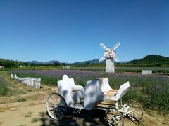 -北京东方普罗旺斯薰衣草庄园