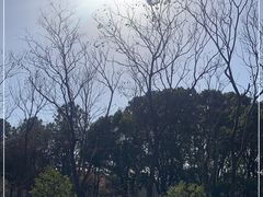 -昆山城市生态森林公园