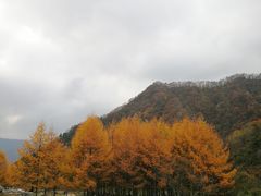 -狮子沟牧场