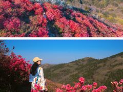 -木兰云雾山