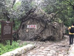 -阳台山自然风景区