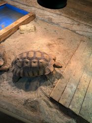 -Zoolung Zoolung动物主题公园(海信广场店)