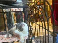 -四季暖堂·融合江浙菜(N1955创业园店)