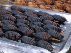 -大学城夜市大排档(凤栖路店)