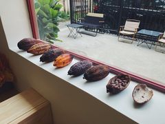 景观位-SANYAY叁言咖啡巧克力
