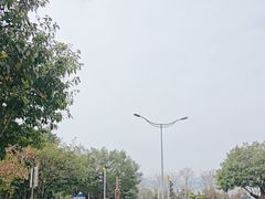 -金海湾滨江公园
