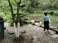 -宋宴(虎跑店)