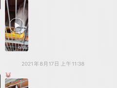 -瑞派雷欧宠物医院·24h夜诊·心脏骨科牙科·全科重症转诊中心(无影山店)